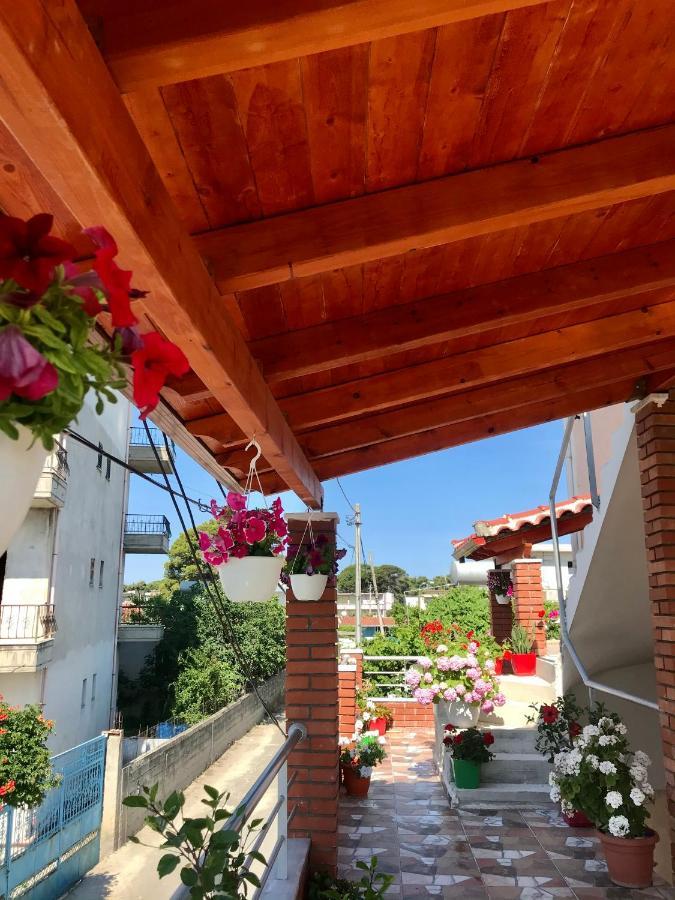 Vila Arlind Ξενοδοχείο Vlorë Εξωτερικό φωτογραφία